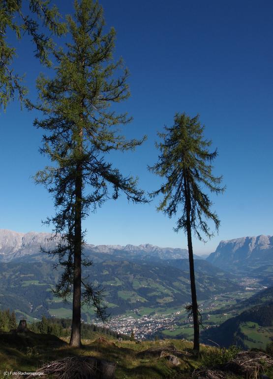 Apartamento Hinterburgschwaig Hof Sankt Johann im Pongau Exterior foto